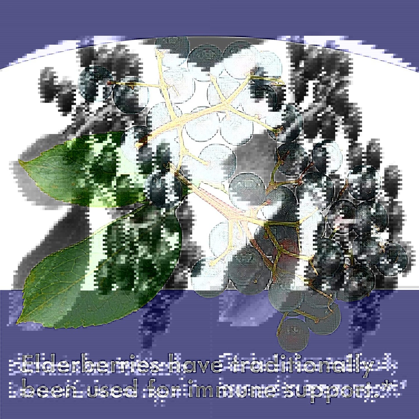 f10e065800817cec6a4e7f41d4967835